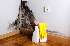 Best Residential Mold Inspection & Testing in Garfield, NJ